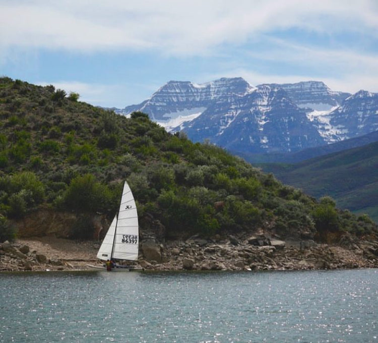 Used hobie 16 white main and jib sails