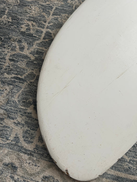Used hobie 18 daggerboard